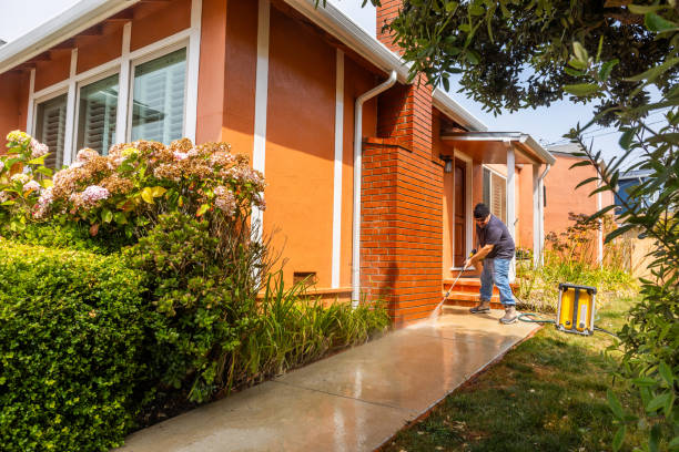 Best Commercial Building Pressure Washing  in Elizabeth, PA